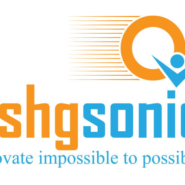 dshgsonic logo