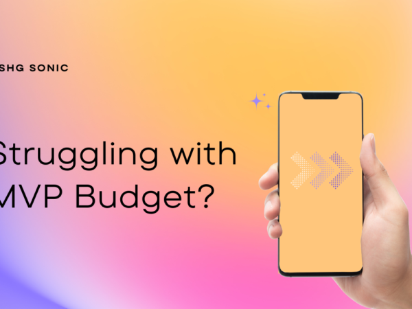 Struggling with MVP Budget?